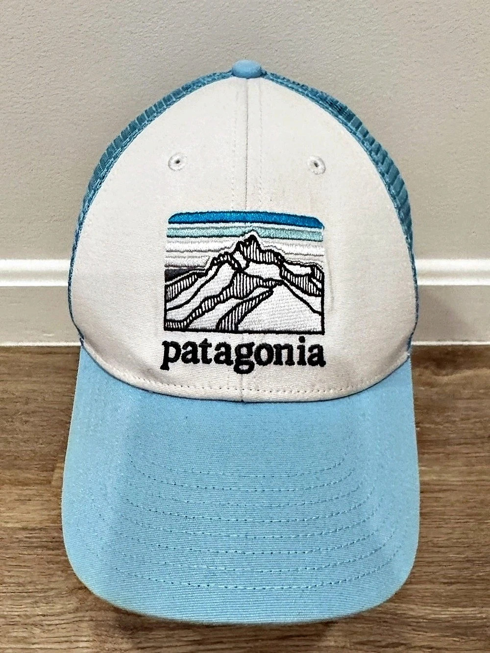 Patagonia Fitz Roy Horizons Trucker Hat Blue & White